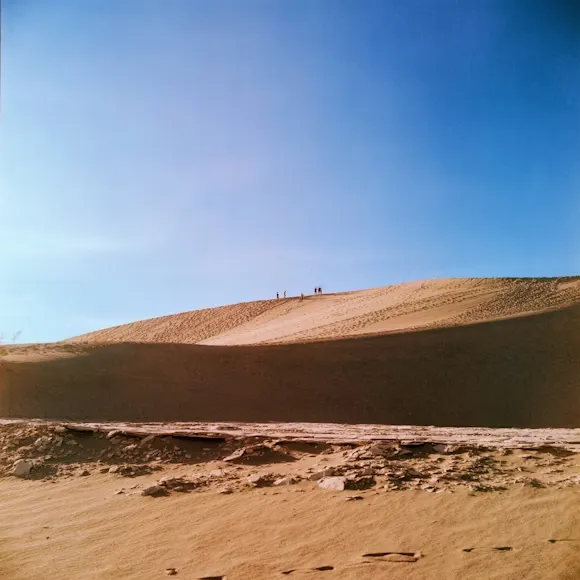 cameleon-camp